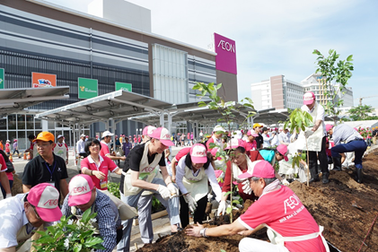 Cây xanh – Điều kì diệu của cuộc sống!