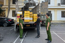 Phát hiện ô tô chở một vạn quả trứng không rõ nguồn gốc
