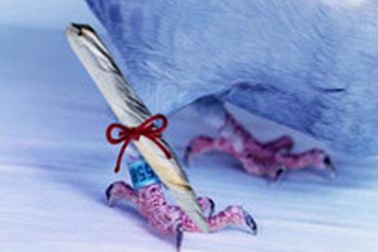 Mafia Nga dùng chim bồ câu buôn bán ma tuý 