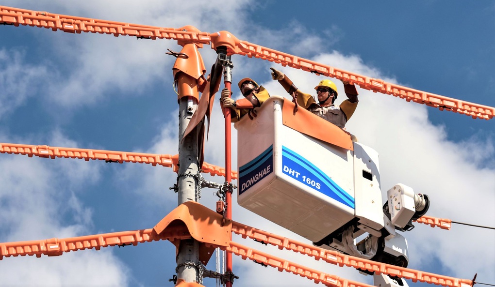 Đảm bảo cung cấp điện dịp lễ Quốc khánh 2/9 tại các tỉnh phía Nam - 4