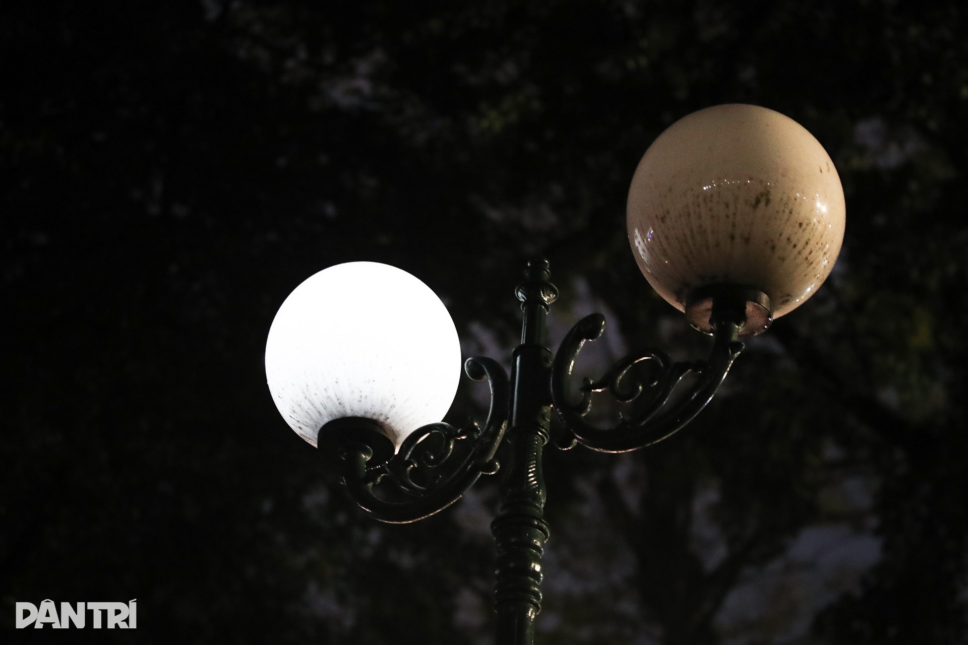 Cảnh nhếch nhác ở công viên giữa trung tâm TPHCM - 13 Cảnh nhếch nhác ở công viên giữa trung tâm TPHCM - 13