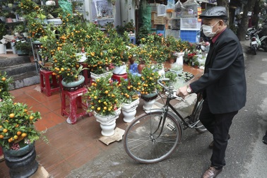 Phiên chợ Bưởi cuối cùng trong năm mang dấu ấn Hà Nội xưa