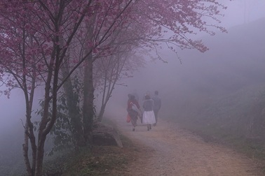 Mùa xuân ở Sa Pa, đường về bản em