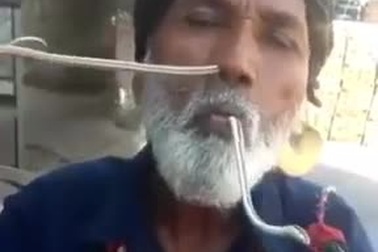 Người đàn ông đưa rắn vào mũi rồi lấy ra từ... miệng