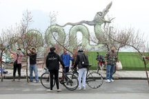 Người dân ùn ùn đổ về chợ hoa Lạc Long Quân sắm Tết