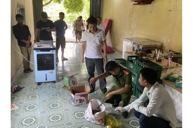 Sử dụng bả có chứa chất độc Cyanua để trộm gần nửa tấn chó, mèo