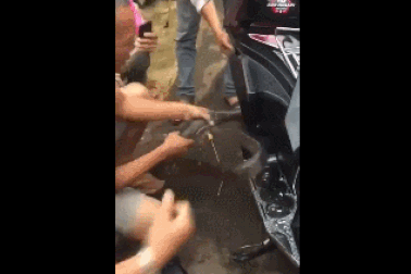 Clip "bắt rắn khủng lẩn trốn trong xe máy" gây sốt tuần qua