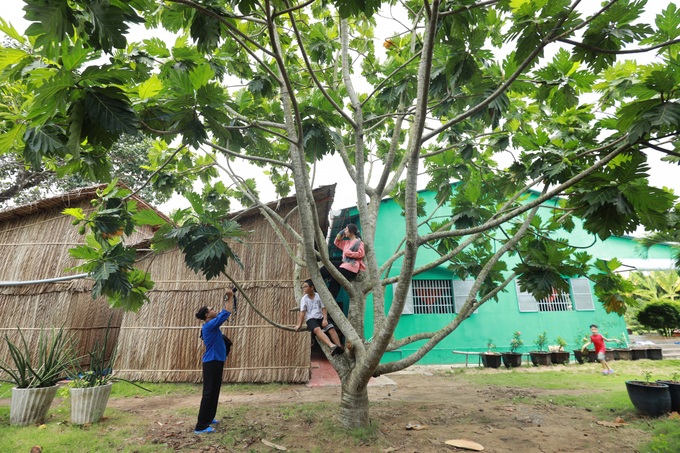 Nếu mà mệt quá, giữa thành phố sống chồng lên nhau thì hãy về Nhà Dì Sáu - khu nghỉ dưỡng sinh thái đậm chất miền Tây, tha hồ sống chậm, sống xanh  - Ảnh 12.