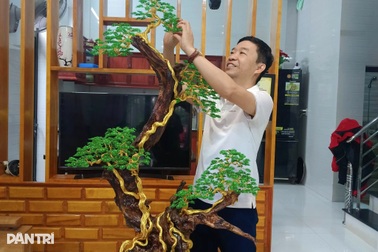 Thầy giáo làm bonsai bất tử, kiếm 10 triệu đồng/tháng từ nghề tay trái
