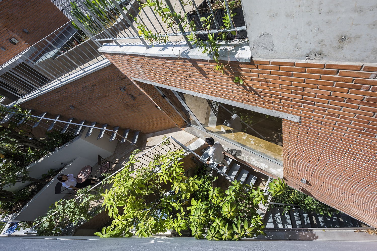 Căn nhà như vườn treo xanh mát tại TP Hồ Chí Minh, ai nhìn cũng muốn ở - 4