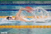 Các kình ngư tuyển bơi Việt Nam căng mình tập luyện trên "đường đua xanh"