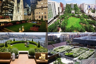 Không gian xanh và ước vọng của người dân đô thị