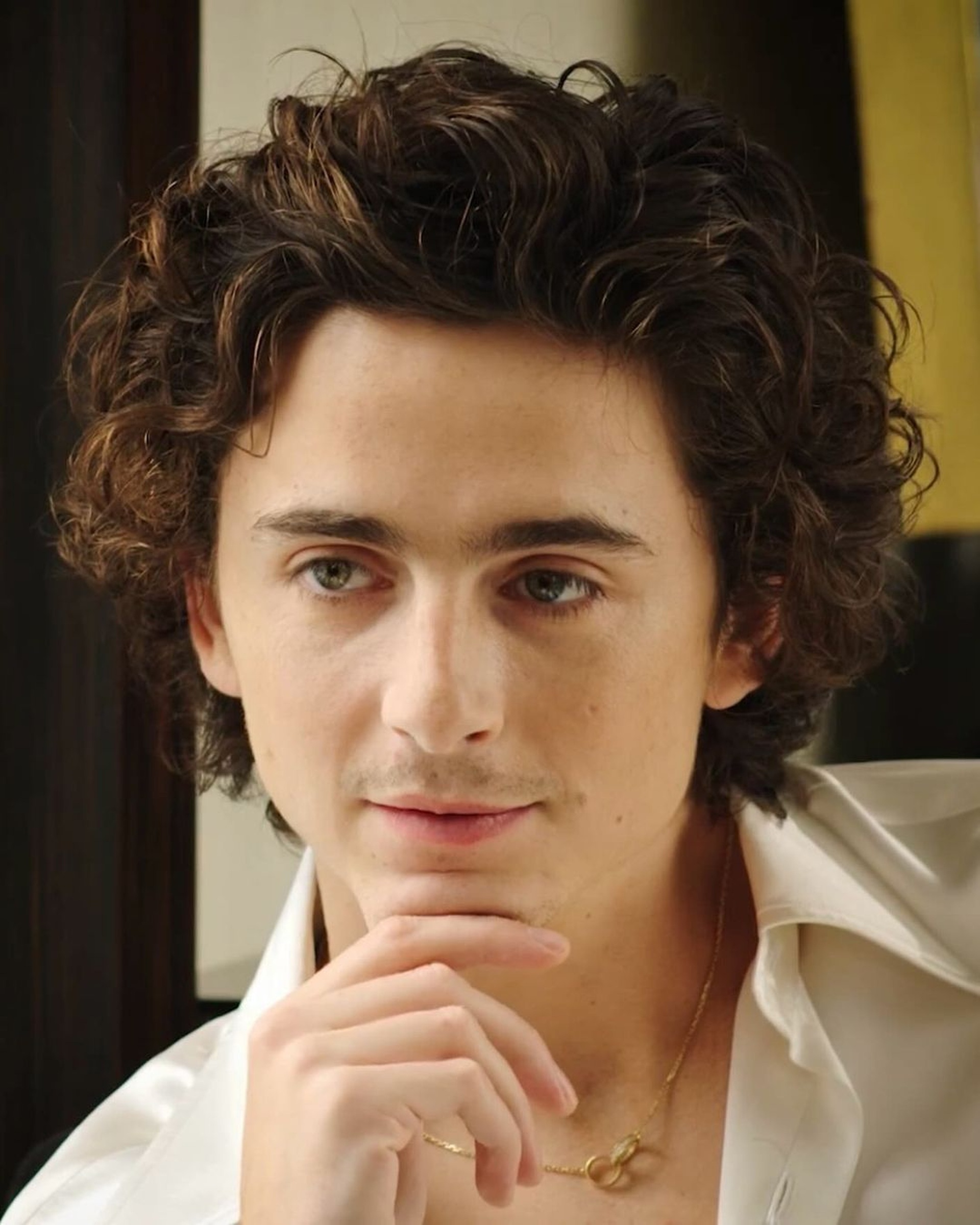 Timothée Chalamet đẹp trai nhất thế giới: Vẻ đẹp chàng thơ lên ngôi - 2