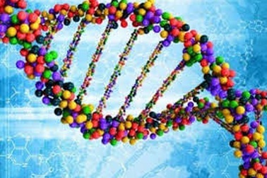 Tinh giản môn Sinh học ở phần vận dụng, nâng cao chỉ giữ lại phần cơ bản