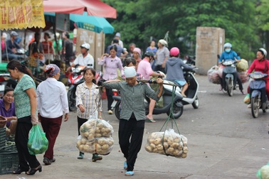 Khu chợ ở Hà Nội tấp nập "bóng hồng" làm bốc vác, cửu vạn
