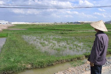 Bức xúc thu hồi đất không chỉ do giá đền bù