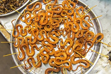 Rắn có thể là nguồn gốc lây lan virus corona ở Vũ Hán