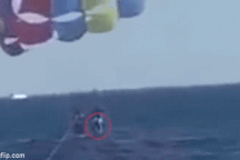 Kinh hoàng khoảnh khắc người chơi dù lượn bị cá mập lao lên tấn công