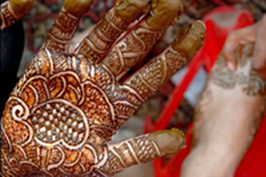 Ảnh đẹp trong tuần: Cuộc sống muôn màu