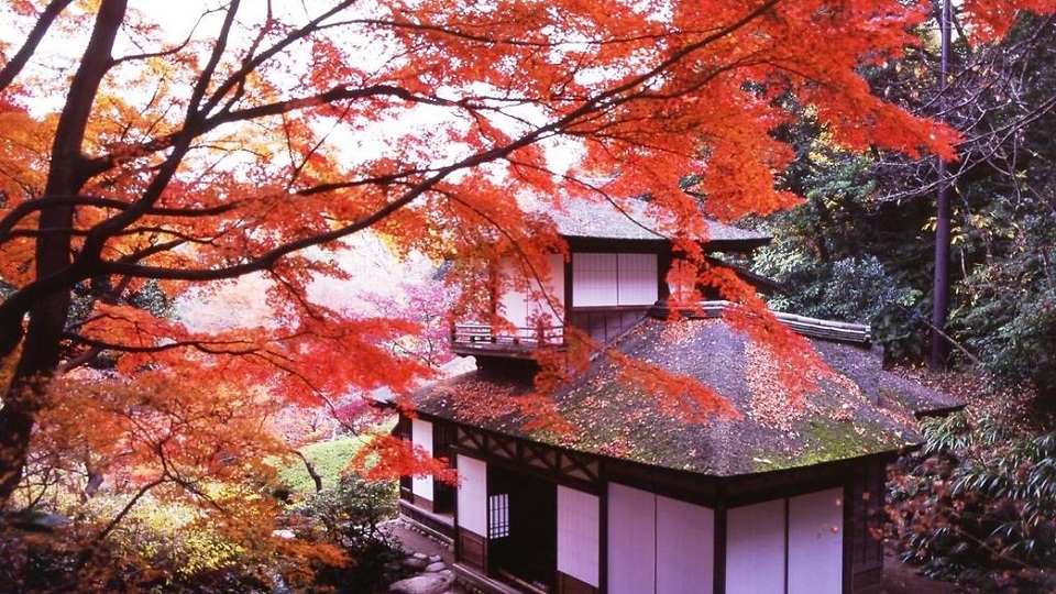 Những lễ hội và sự kiện không thể bỏ qua khi đi du lịch Tokyo tháng 11 - 3 Những lễ hội và sự kiện không thể bỏ qua khi đi du lịch Tokyo tháng 11 - 3