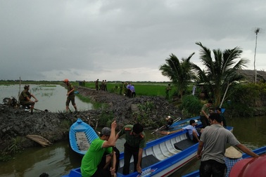 Bắt được nghi phạm giết phụ nữ tại chòi tôm, lấy vàng