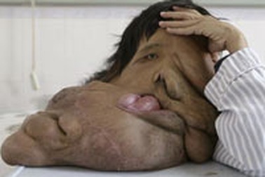 Những bức ảnh “lạ đời” của năm