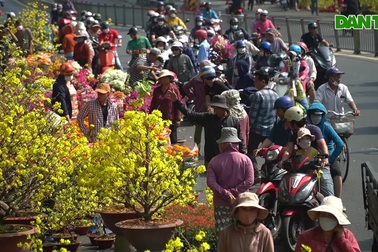 Người dân TPHCM đổ xô mua hoa hạ giá ngày 30 Tết