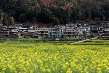 Trung Quốc tặng tiền cho các cặp vợ chồng sinh thêm con