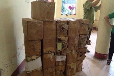 Chủ nhãn sữa Danlait "kéo" Phó Chi cục trưởng QLTT Hà Nội ra tòa