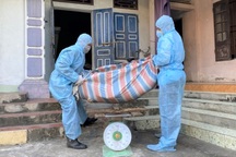 Cán bộ thú y nâng khống trọng lượng lợn tiêu hủy để trục lợi