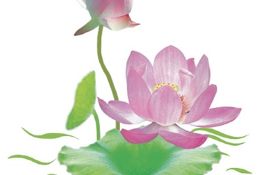 Chuẩn bị lấy ý kiến bình chọn quốc hoa khu vực miền Nam 