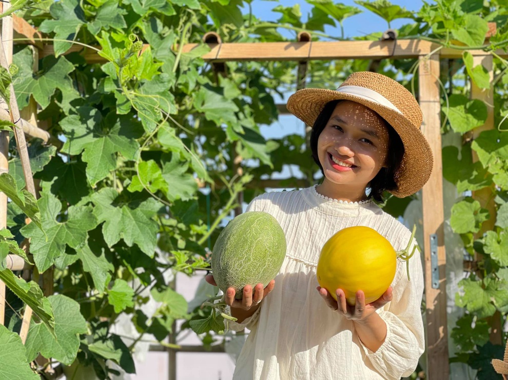 Gia chủ Đà Nẵng phủ xanh nóc nhà bằng vườn rau trái sum suê - 1