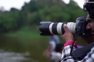 Bật cười với “tai nạn” của cặp đôi chụp ảnh cưới