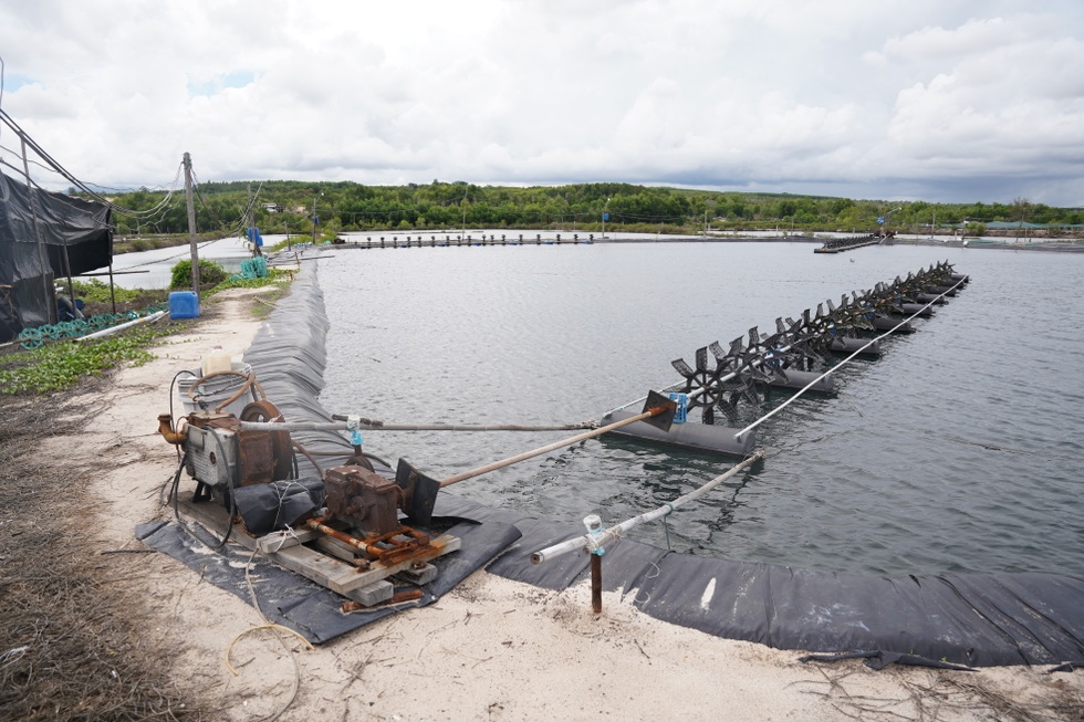 Doanh nghiệp "khóc ròng" vì phương án bồi thường đất của huyện Hàm Tân