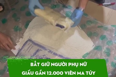 Người phụ nữ giấu gần 12.000 viên ma túy trong túi gạo nếp