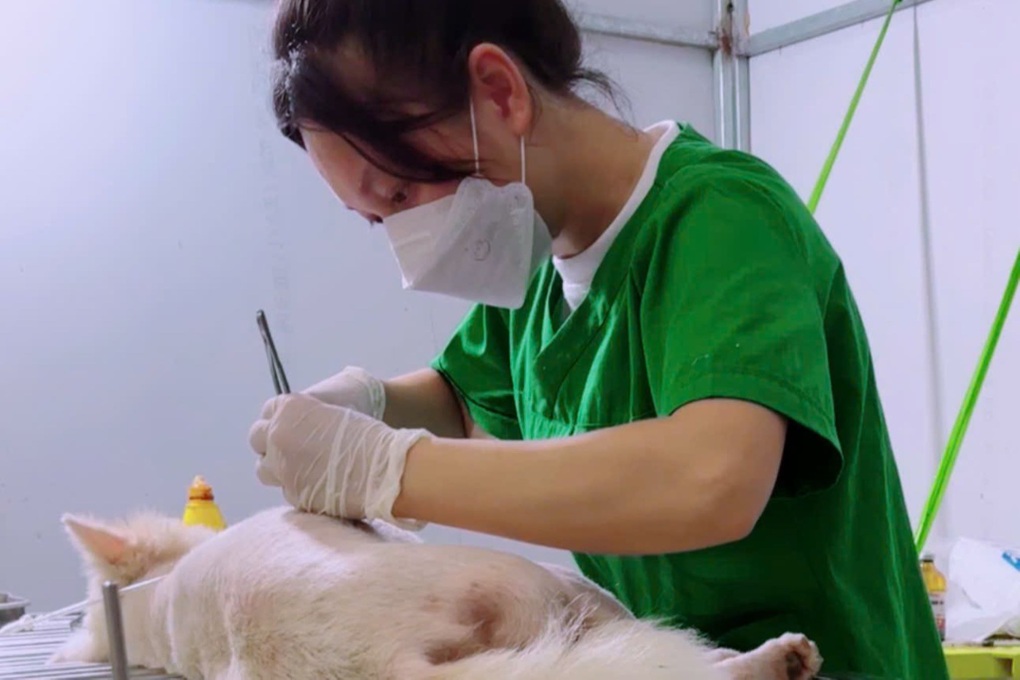 Nữ bác sĩ kể chuyện cứu bệnh nhân 4 chân, tiết lộ mặt trái nghề nguy hiểm - 2 Nữ bác sĩ kể chuyện cứu bệnh nhân 4 chân, tiết lộ mặt trái nghề nguy hiểm - 2