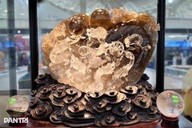 Khối đá quý tạo nên bức điêu khắc 10 tỷ đồng gây sốt ở Hà Nội