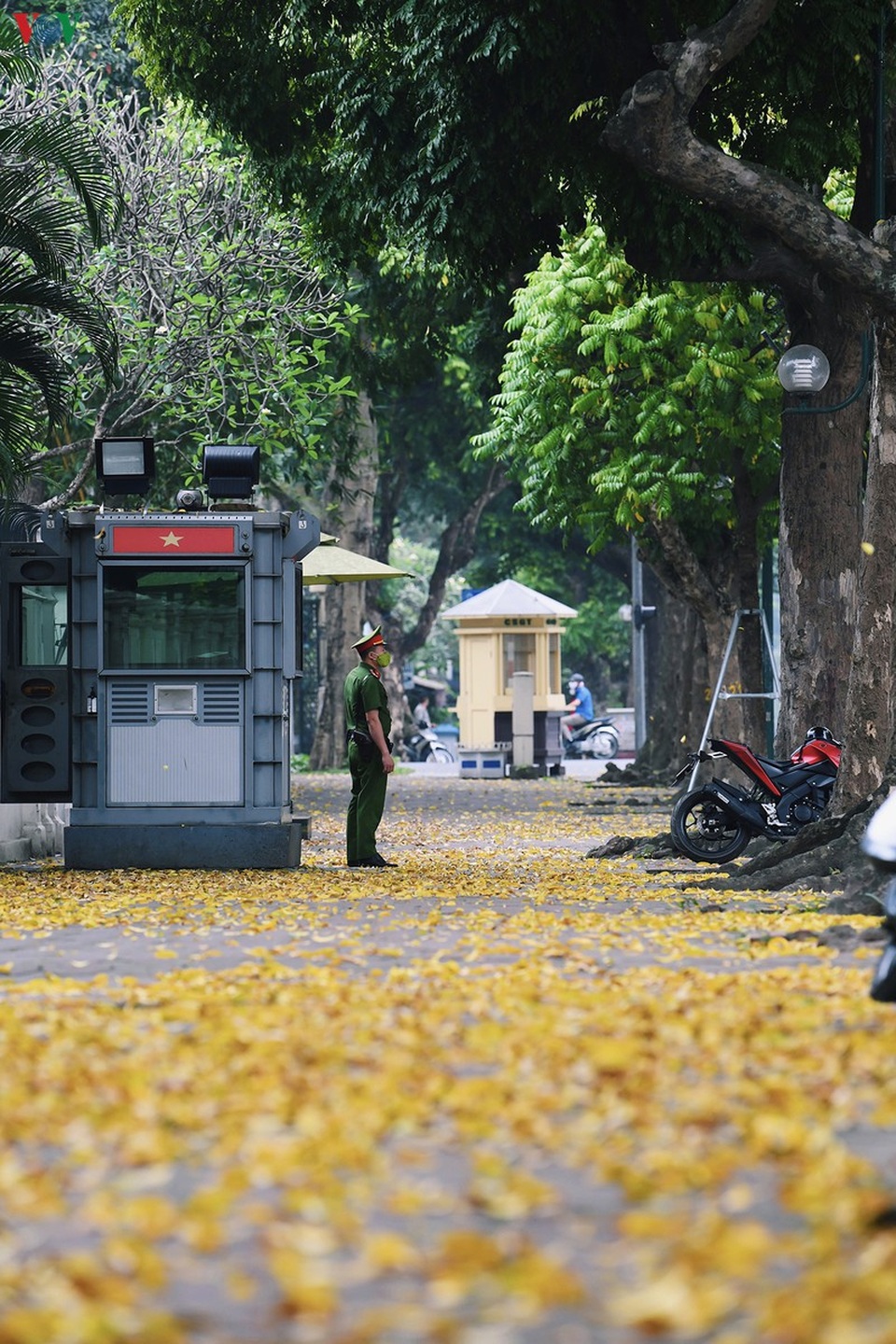 Phố phường Hà Nội đẹp nao lòng mùa sấu trút lá vàng - 1 Phố phường Hà Nội đẹp nao lòng mùa sấu trút lá vàng - 1