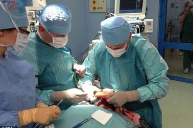 Cấy ghép toàn bộ gương mặt cho cô gái mang u khổng lồ