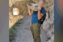 Quay cảnh ném đá đăng lên mạng, du khách đối mặt án phạt gần 6 tỷ đồng