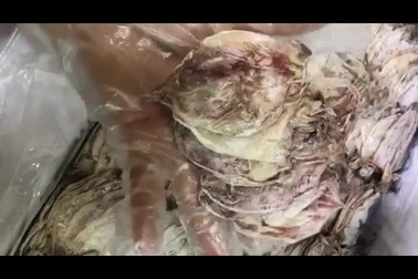 Mực khô siêu rẻ: Nhỏ như lá bài, 2 nghìn đồng/con, dân nhậu ăn cả chục