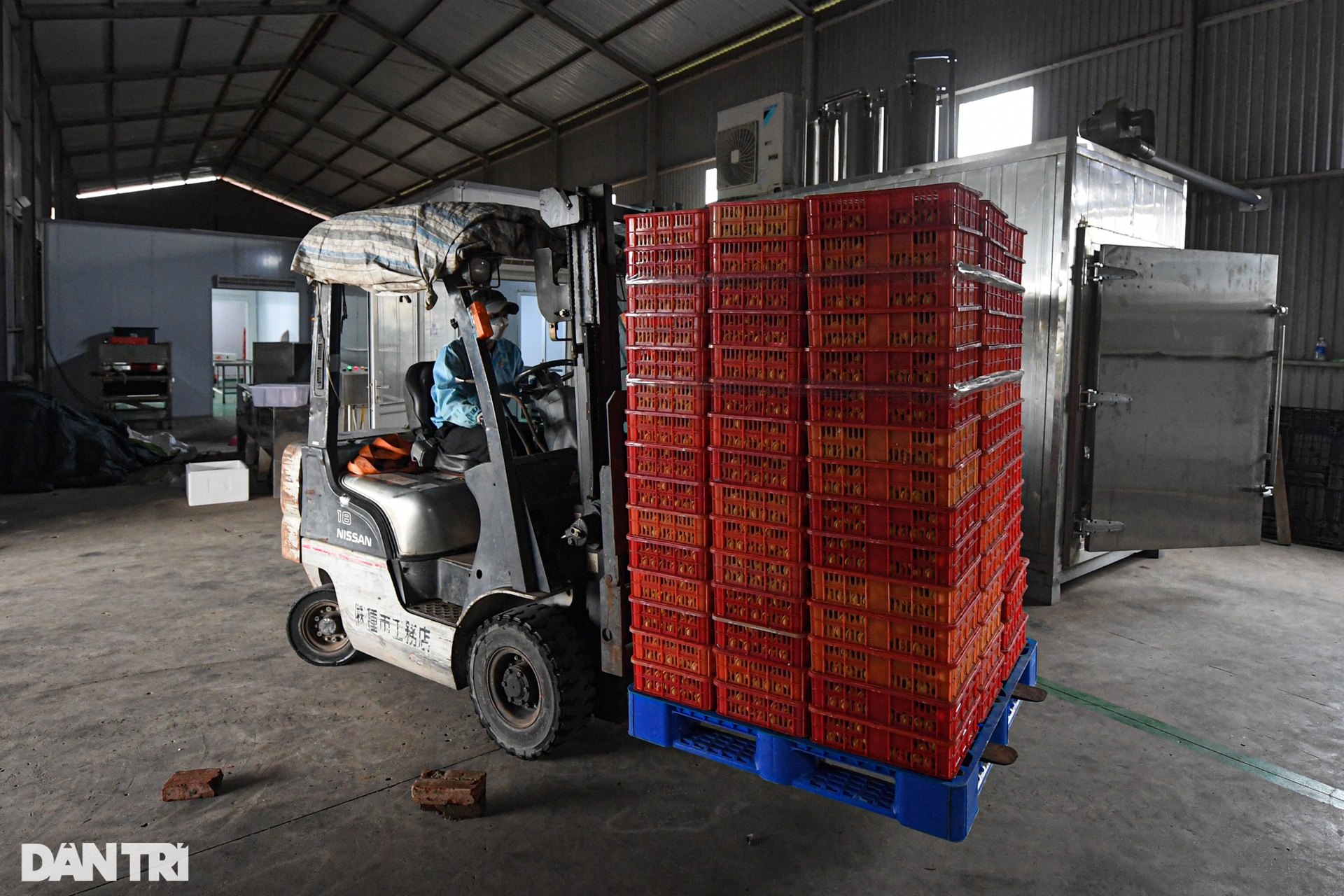 Vải thiều bay sang Nhật cần qua quy trình sản xuất khắt khe như thế nào? - 11 Vải thiều bay sang Nhật cần qua quy trình sản xuất khắt khe như thế nào? - 11