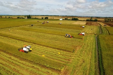 Vĩnh Long: Chuẩn bị xây Bảo tàng nông nghiệp vùng ĐBSCL trị giá 400 tỷ đồng