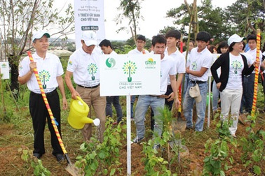 Triển khai Quỹ 1 triệu cây xanh tại Đà Lạt