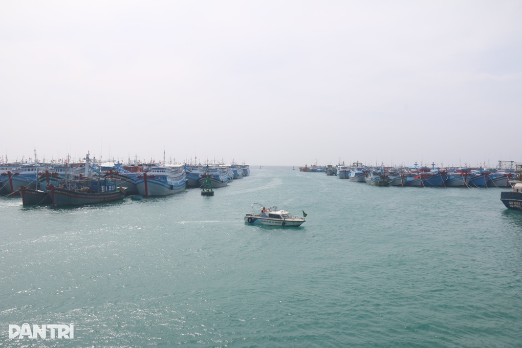 Neo đậu tránh bão, hơn 500 lao động trên 131 tàu cá bị cạn kiệt lương thực - 1 Neo đậu tránh bão, hơn 500 lao động trên 131 tàu cá bị cạn kiệt lương thực - 1