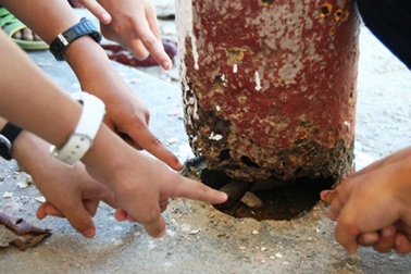 Bài 1: “Phập phồng” nỗi lo trường… sập