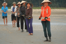 Nhóm người "tập thể dục" trên bãi biển cũng mang về hàng chục ký mực tươi