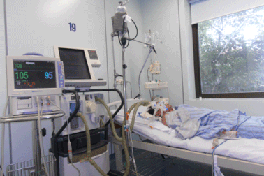 Gần 50% bệnh nhân cúm là do vi rút H1N1 