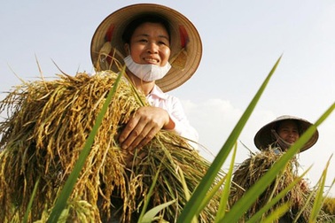 Công bố 63 nông dân Việt Nam xuất sắc năm 2017