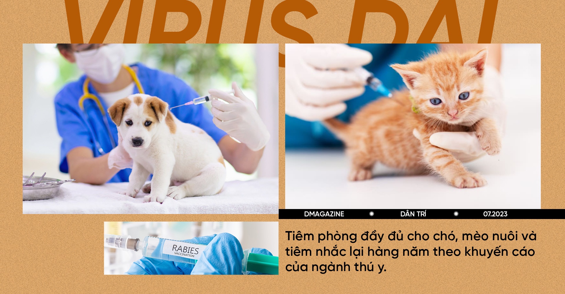 Virus dại xuất hiện từ 4.000 năm trước, đến nay vẫn gieo rắc cái chết - 14 Virus dại xuất hiện từ 4.000 năm trước, đến nay vẫn gieo rắc cái chết - 14